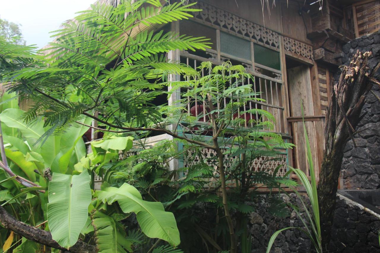 Geopark Village Kintamani  Luaran gambar