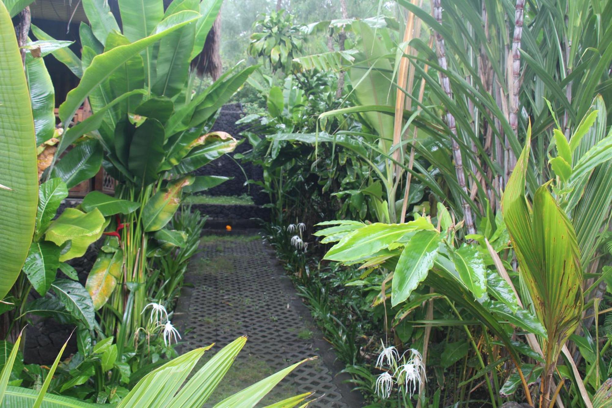 Geopark Village Kintamani  Luaran gambar