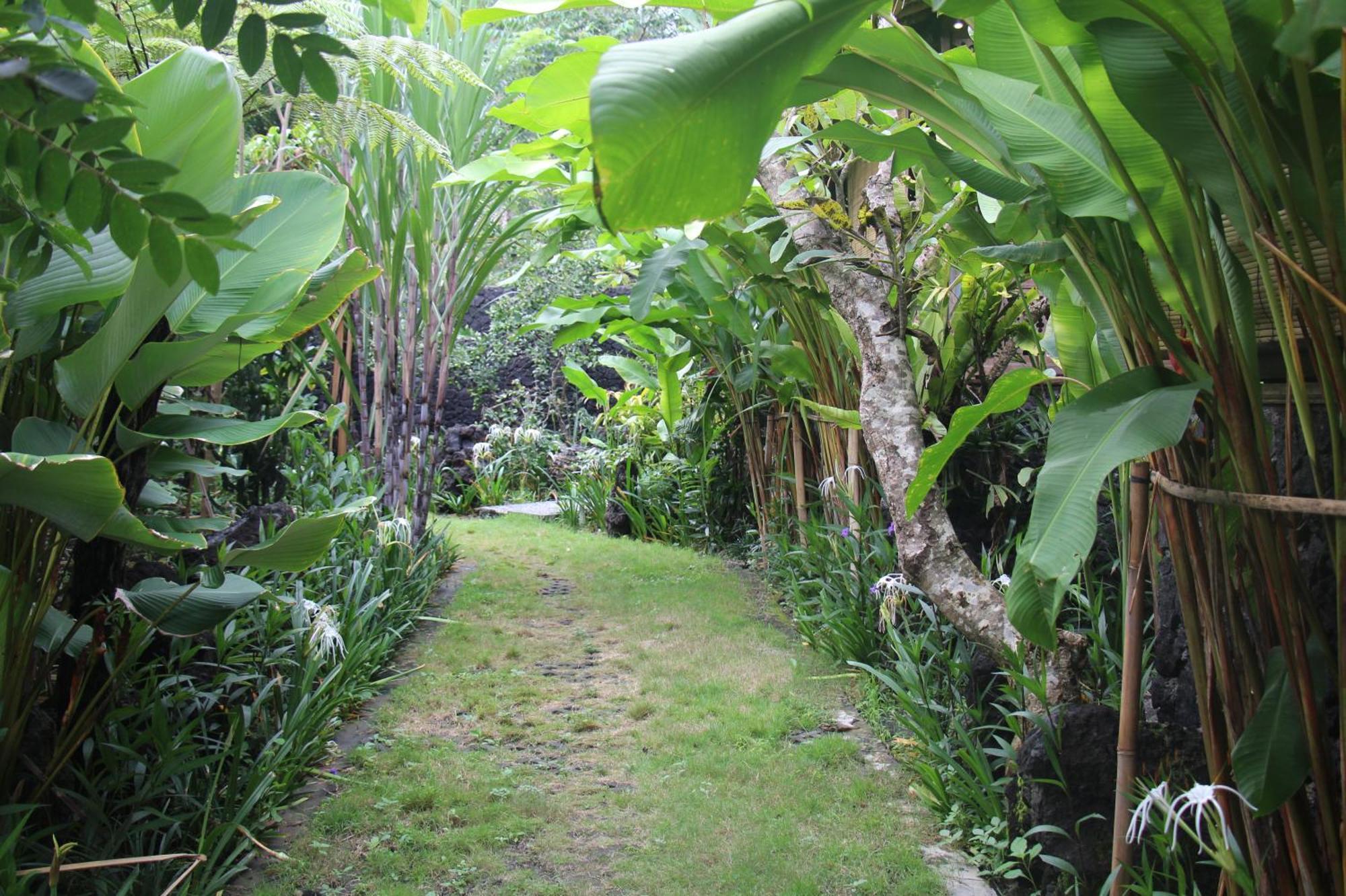 Geopark Village Kintamani  Luaran gambar