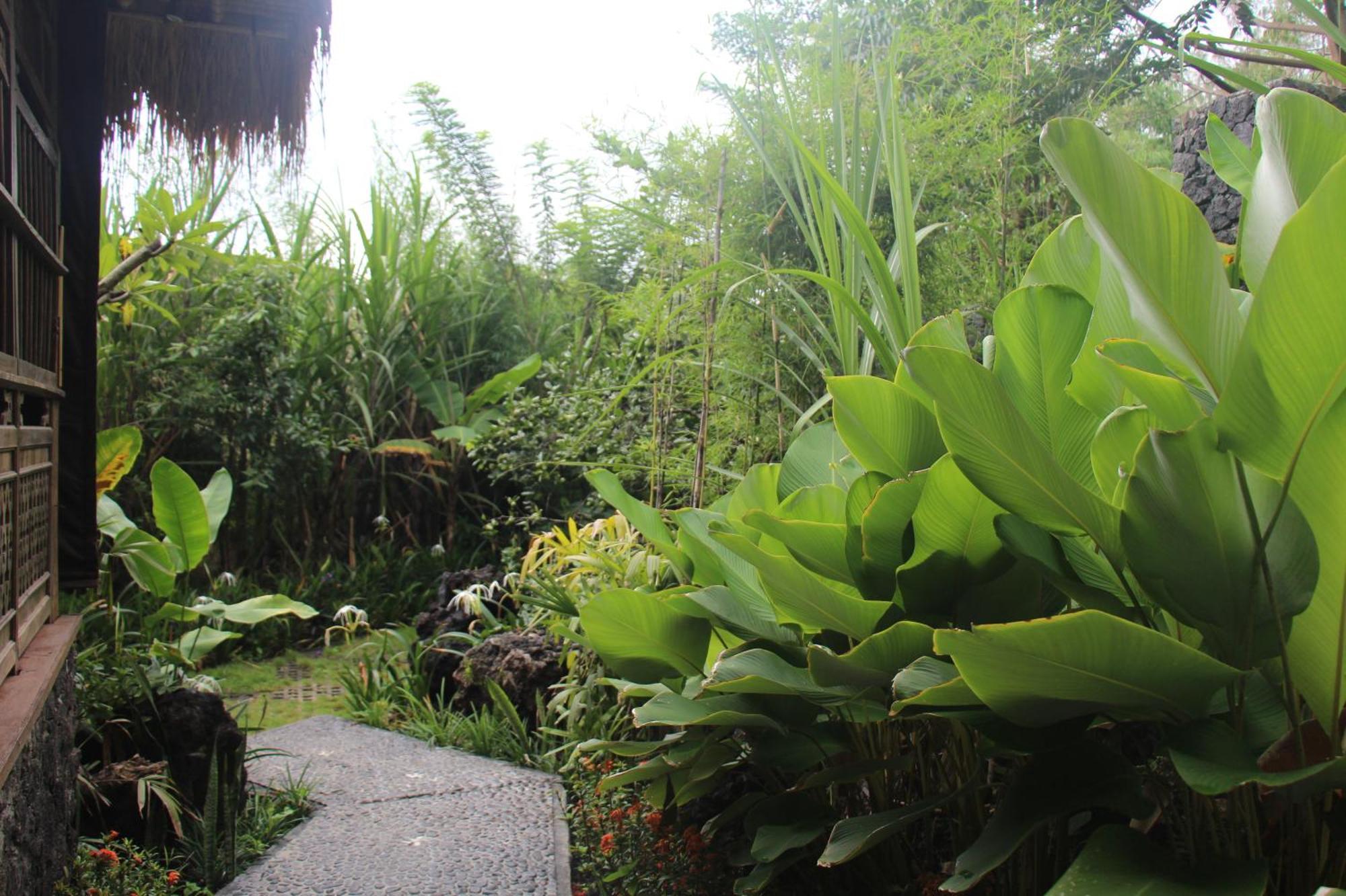 Geopark Village Kintamani  Luaran gambar