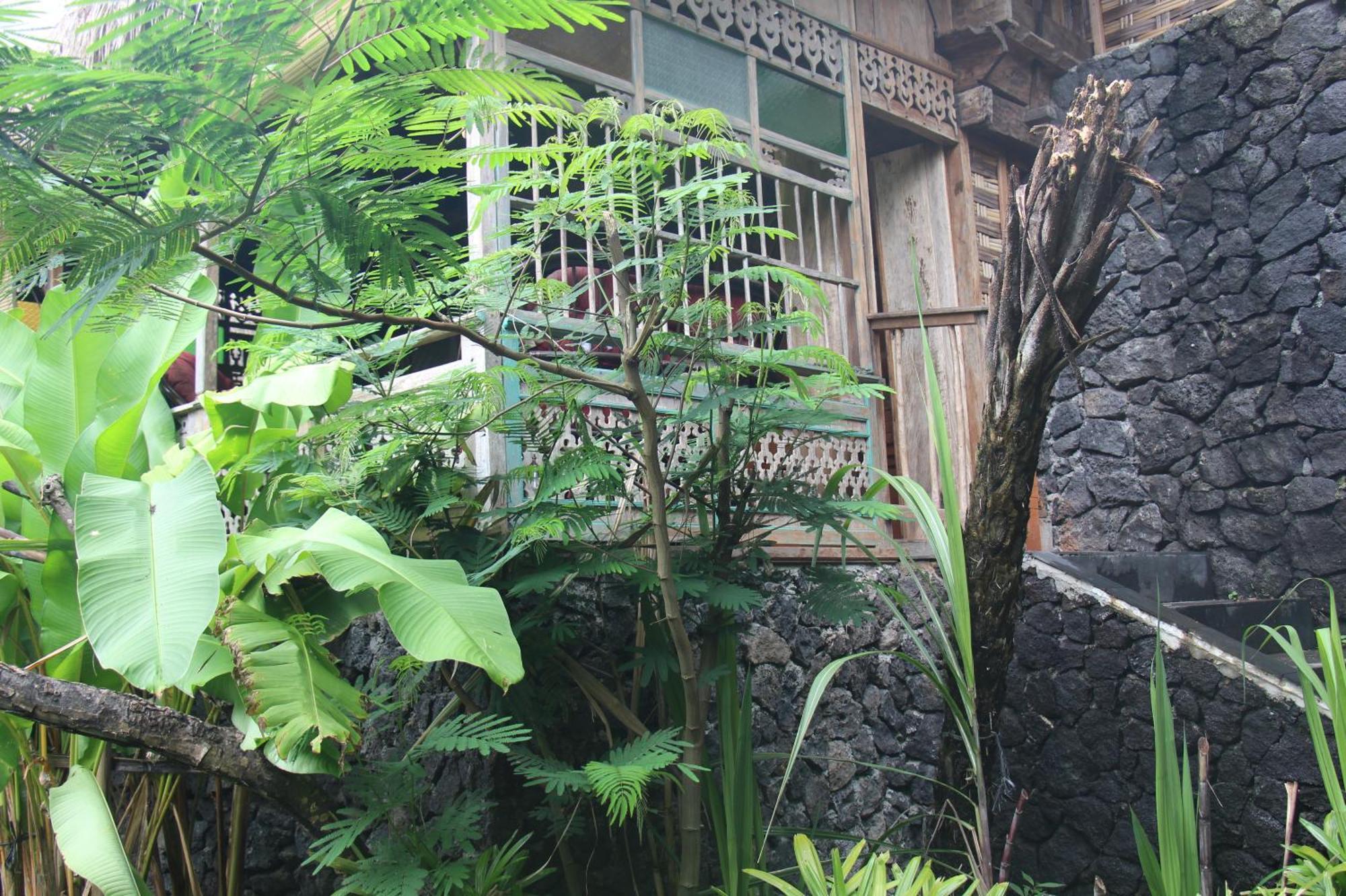 Geopark Village Kintamani  Luaran gambar